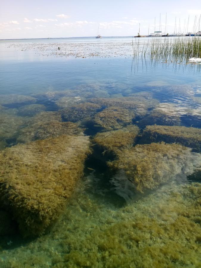 Hotel Sorompo Vendeghaz Balatonkenese Exteriér fotografie